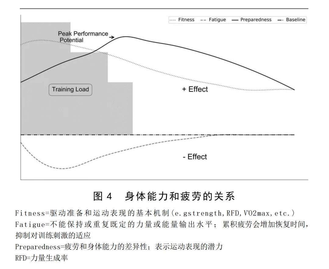 篮球训练个人训练计划一周_1
